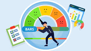 Image result for Behavioral Activity Rating Scale