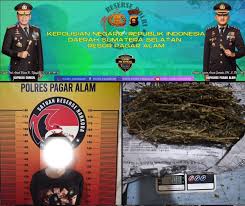 Satres Narkoba Polres