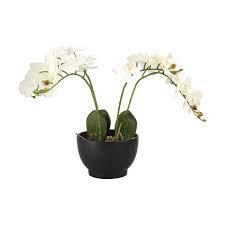 Buy fake flowers and get the best deals at the lowest prices on ebay! Large Artificial Orchid Kmart
