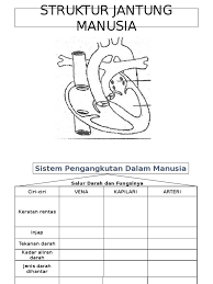 Maybe you would like to learn more about one of these? Bahan Jantung Manusia