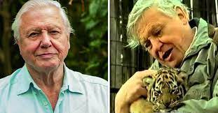 15 of sir david attenborough's best quotes. Sir David Attenborough Shares Heartbreaking News About His Health