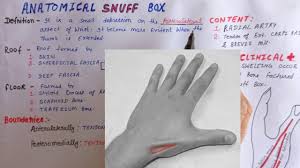 We did not find results for: Anatomical Snuff Box In Hindi Clinical Anatomy Of Snuff Box Youtube