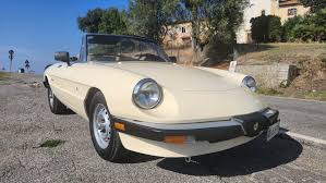 Image result for Avorio 1983 Alfa-Romeo