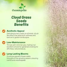 Image result for Agrostis products