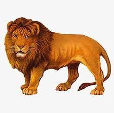 Lion Png Images Lion Clipart Free Download Victorian Scrap Clip Art Vintage Lion Drawing
