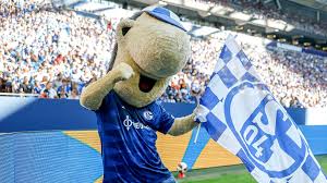 tickets schalke