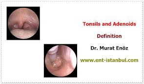 Image result for Adenodolichos