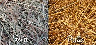 Petit ballot de foin 4€ et paille 2€ juprelle. Reconnaitre Un Bon Foin