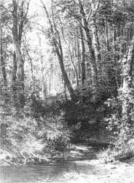 Forest Stream Ivan Shishkin Wikiart Org Landscape Drawings Landscape Sketch Landscape Pencil Drawings