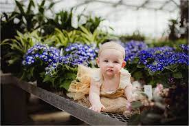 Click here to order flowers for any occasion! Klein S Greenhouse Baby Session Madison Wisconsin Twig Olive