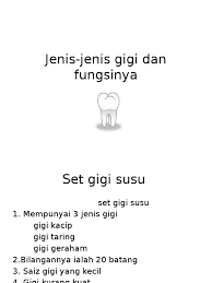 Jenis gigi dan fungsinya adalah. Jenis Jenis Gigi Dan Fungsinya