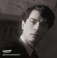 Who Is Mattheo Riddle? Discovering His Real Name and Role in Harry Potter  Fandom