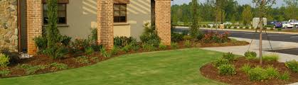 Home Koster Landscape Management