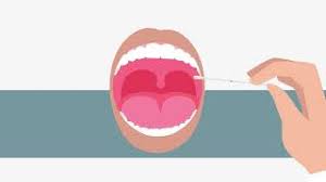 Travel declaration) €79 or rapid test €39 (+ travel certificate €49). What Is A Pcr Test Covid 19 Test Coronalab Eu