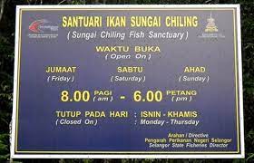 Sangat teruja nak menulis kisah kami bercamping anak beranak kali ni. Sungai Chiling Fish Sanctuary Kuala Kubu Bharu Selangor Gokelah