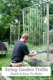 We did not find results for: How To Build A Trellis For Your Vegetable Garden Gf Video