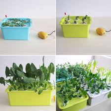 1 Sets 220v 110v Plant Site Hydroponic Systems 6 Holes Nursery Pots Soilless Cultivation Plant Seedling Grow Kit Urbana Grow