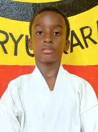 Karate software for tournaments: the best software for the rapid  development of any Karate Tournament: Registrations