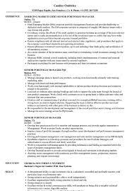 He/she will be involved in origination, deal execution and portfolio management and will be part of a small team of ambitious investment professionals. Senior Portfolio Manager Resume Samples Velvet Jobs