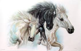 Black And White Horse Painting Horse Painting Black And White Beauties Horse Painting Animal Posters Horses