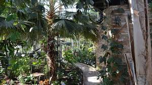 Der botanische garten ist eine zentrale einrichtung der universität würzburg. Mdr Kultur Am Nachmittag Mdr De