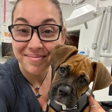 Reviews & Testimonials