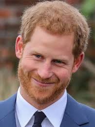 700 Hot Royal Harry ideas in 2025