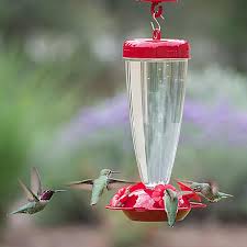 Bottle or tube hummingbird feeders can be glass or plastic, often with red plastic flowers and bee guards (little plastic screens that keep insects away from in some places, bears can be a problem if feeders are at all accessible. Perky Pet Top Fill Plastic Hummingbird Feeder 24 Oz Capacity 138tf The Home Depot