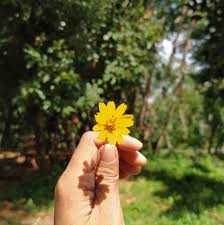 Selamat datang di halaman kami yang berisi semua jawaban words of wonders argentina la boca. 20 30 Somethings In Brookwood Community 2000 Pages Directory