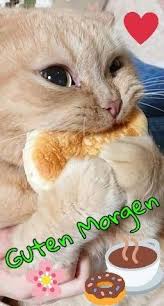 Pin Von Gerhold Hans Auf Guten Morgen Guten Morgen Guten Abend Lustige Guten Morgen Grusse