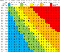 Bmi Calculator