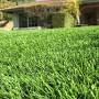 Purchase Green Artificial grass reviews from m.facebook.com