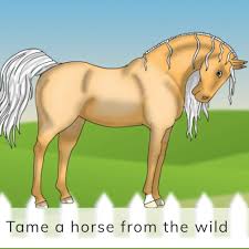 Go horseback riding and take care of the cute baby ponies. Awesome Online Horse Games