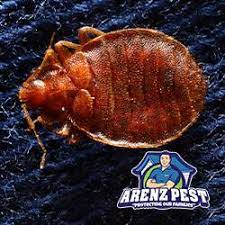 Jefferson county health department empowers you to take charge of your health with the support of ou. Arenz Pest Management Solutions Jefferson County Missouri
