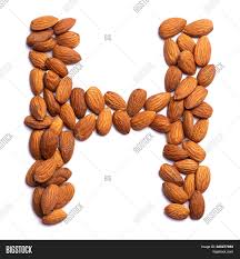 Examples of translating «bius» in context Letter H English Image Photo Free Trial Bigstock