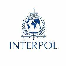 Select from premium interpol logo of the highest quality. Interpol The Org