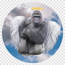 Harambe Picture Gorilla Cincinnati Zoo Ape Wildlife Mammal Animal Transparent Png Pngset Com