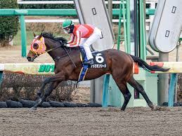 This is description 2021年エルムステークス（g3）の最終予想です。 函館ダート1,700mで行われる重賞です。 ソリストサンダー、アメリカンシード、ウェスタールンドなどが登場します。 函館競馬場ダート1,700mコースガイドはこちら Dvzgx1pjvt3zfm