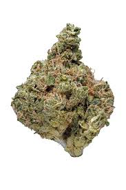 This orange and pineapple flavored soda has a tropical taste and is incredibly refreshing. Cactus Cooler Strain Hybrid Cannabis Review Cbd Hytiva