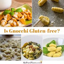Maybe you would like to learn more about one of these? Is Gnocchi Gluten Free 15 Gf Brands My Pure Plants