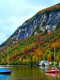 Everything from temperature to rainfall can speed up. Autumn Leaf Color Wikipedia