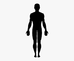 Find high quality body silhouette clip art, all png clipart images with transparent backgroud can be download for free! Vector Graphics Clip Art Human Body Image Silhouette Woman In Dress Hd Png Download Transparent Png Image Pngitem