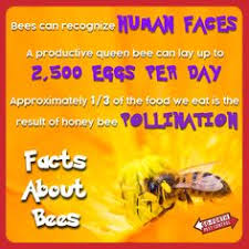 The quickest method being the pest control teleport, which is a reward from treasure trails and can. Go Forth Pest Control Goforthpestcontrol Profile Pinterest