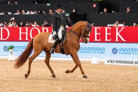 The Complete Canter Course – Dressage Training Tv