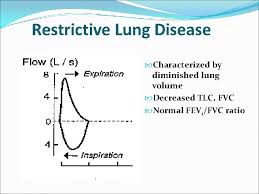 Lung Function Tests Sema Umut Lung Factors Affecting