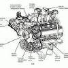 Gmc chevy 43l vortec engine serpentine belt routing diagram with ac for no ac belt diagram check out this video. Https Encrypted Tbn0 Gstatic Com Images Q Tbn And9gctmiqntebbfreyglyl7ertbersyalkca Kiwdepi Tderuhail7 Usqp Cau