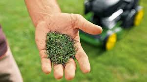 I have used grass clippings as mulch but general over newspaper or cardboard since a 1 inch thickness of any mulch. How Mulching Grass Improves Your Lawn And When Not To Mulch