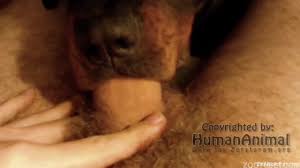 Dog licks mans dick and causes him a huge orgasm in the end