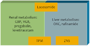 Image result for Lacosamide