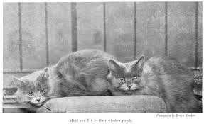 CATS By Eleanor Booth Simmons (1935)